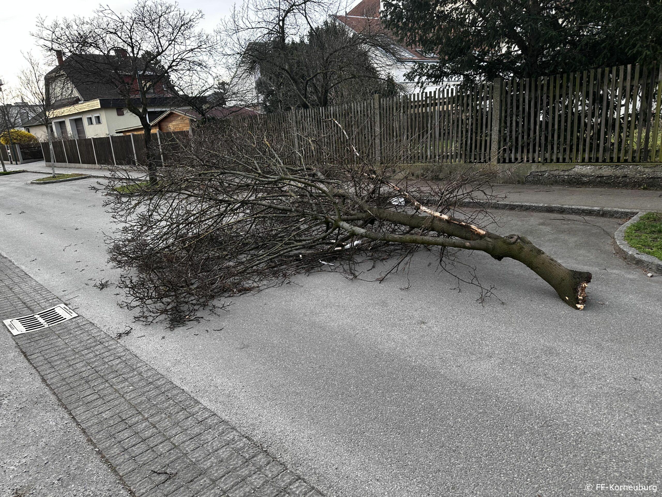 Sturm – Ast auf Straße und umgestürzte Bauzäune